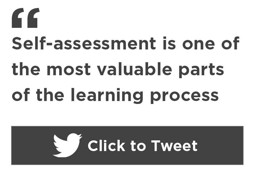 self assessment in education