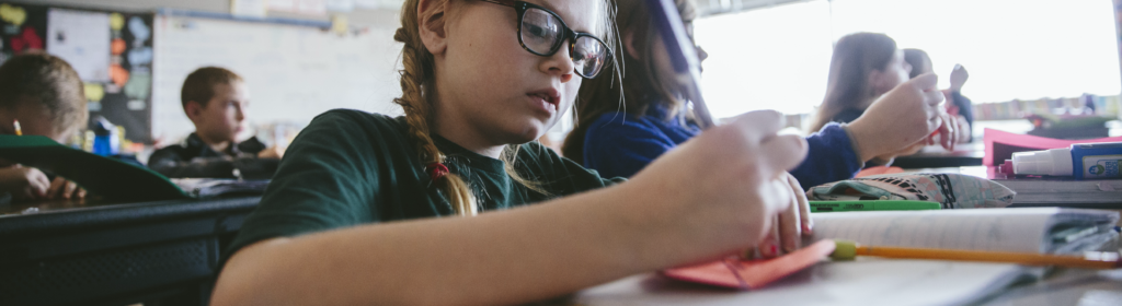 Instructional Connections Nwea